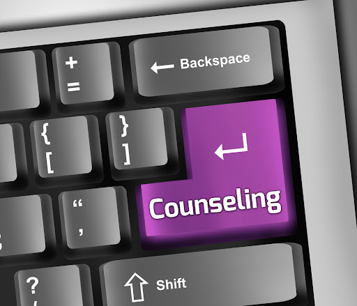 Online counseling software